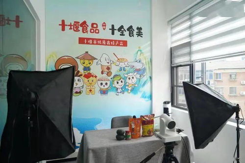 十堰新添文化地標，市民休閑打卡再添好去處