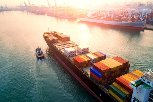 5大區(qū)塊鏈項(xiàng)目重塑供應(yīng)鏈管理 透明、高效與信任的新范式